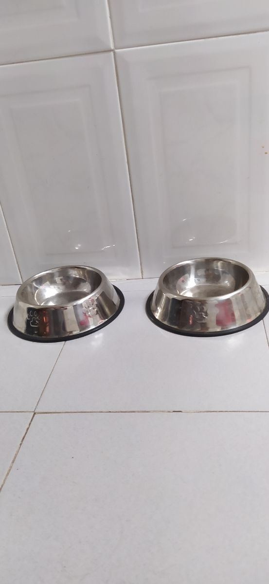 alimentatore per animali domestici