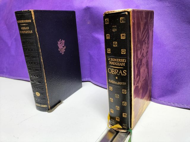 OBRAS COMPLETAS MAXENCE Van Der Meerch