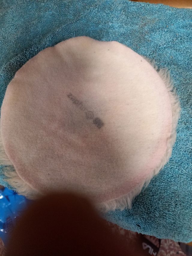 boina de pulido nueva