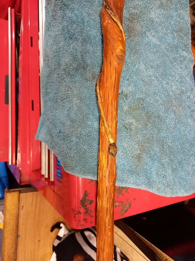 cachaba con serpiente enroscada