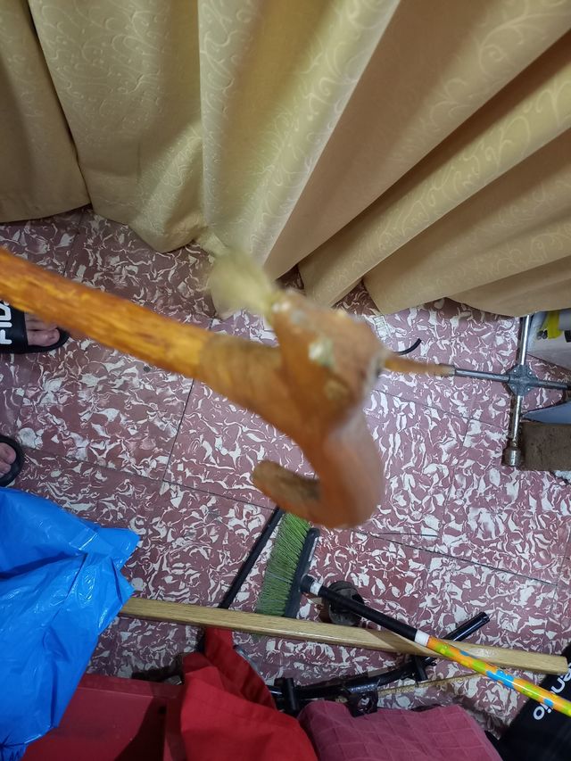 cachaba con serpiente enroscada