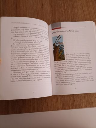 Les aventures de Tom Sawyer 