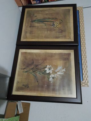 Cuadros flores Lote