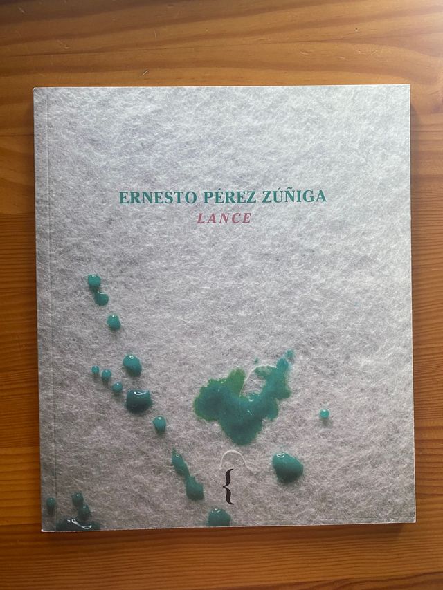 Libros de poemas érase y fue Casemiro Parker