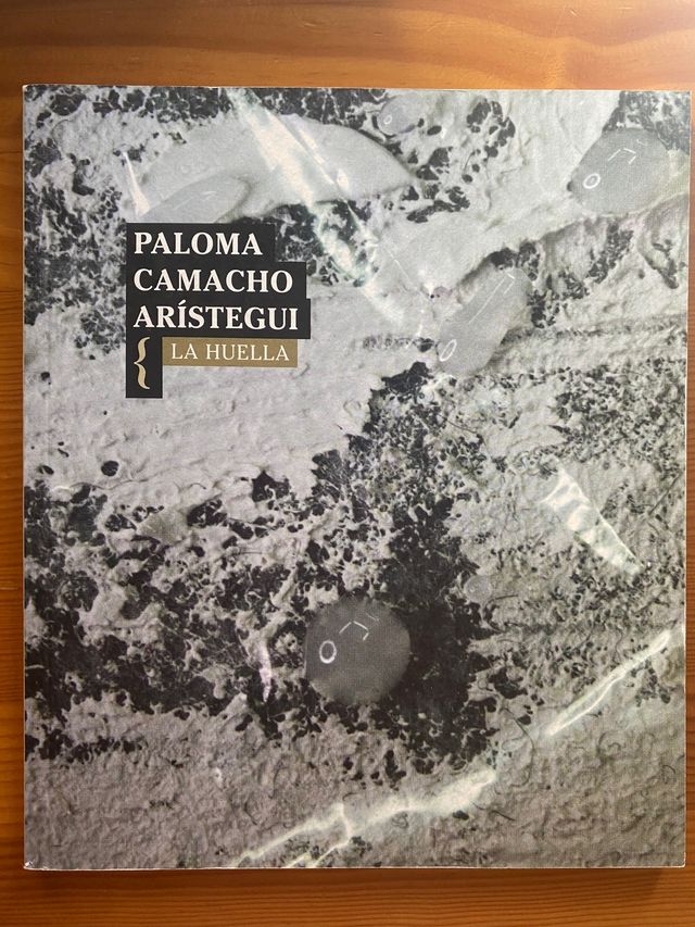 Libros de poemas érase y fue Casemiro Parker