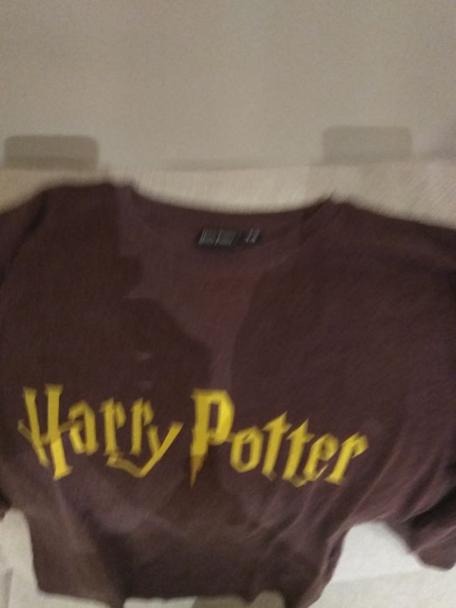 camisetas Harry Potter 12_14