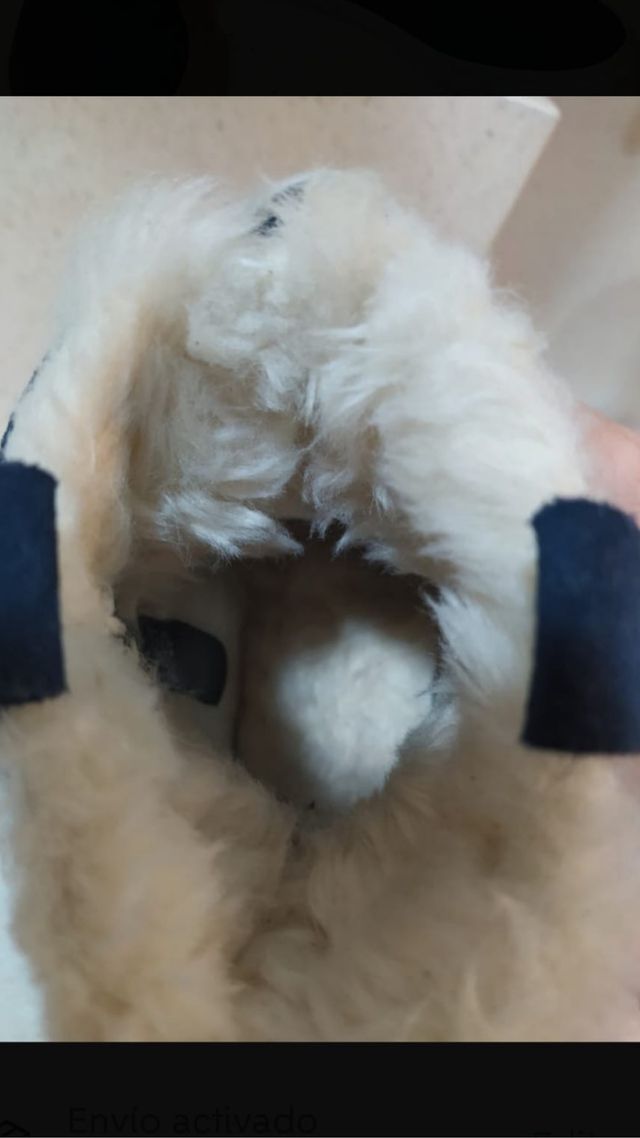 Botines Zara de ante azul y por dentro con pelo.