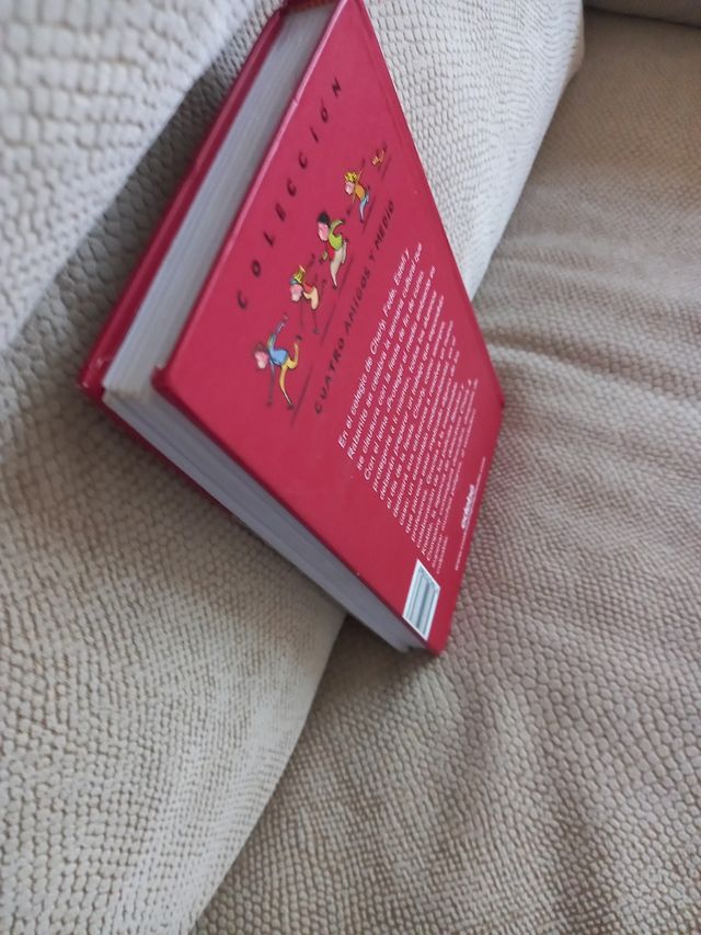 Libro El caso de la fiesta de fin de curso