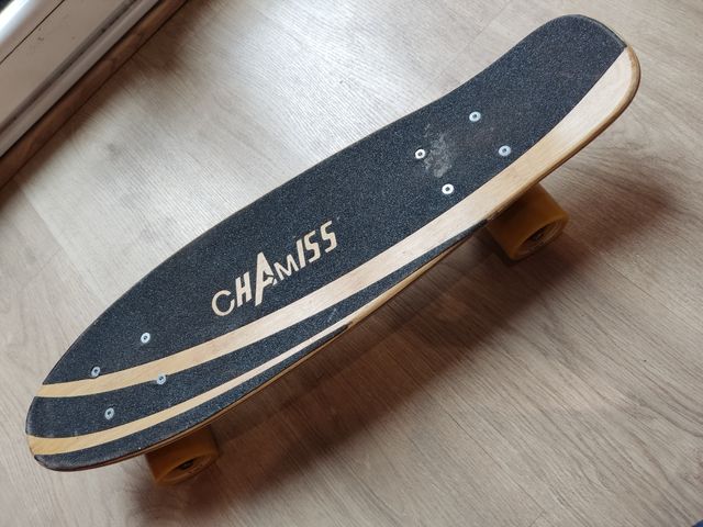 Cruiser board Penny Chamiss