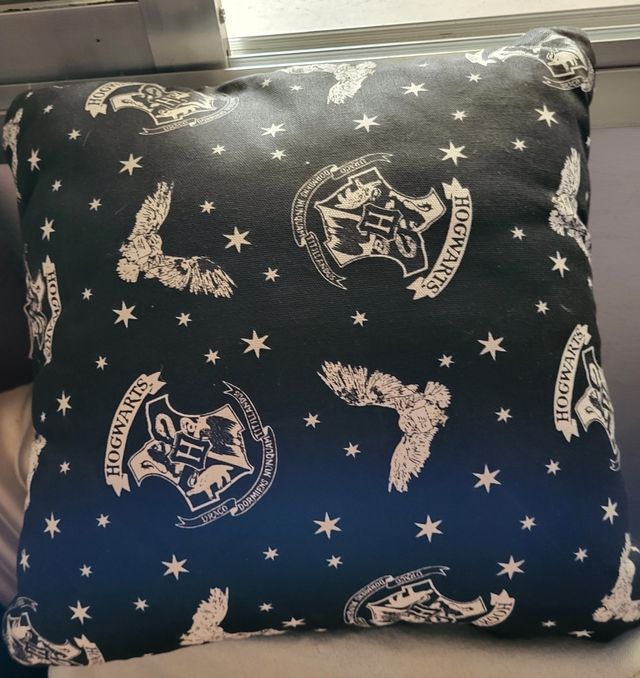 COJÍN DE HARRY POTTER, WARNER BROS. COMO NUEVO