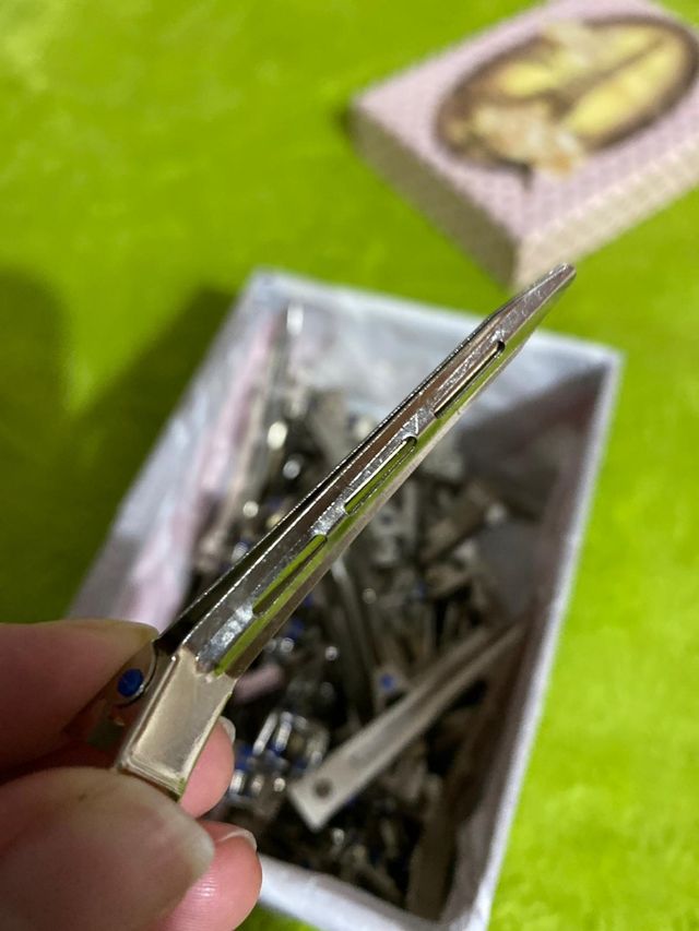 Set de pinzas de peluquería