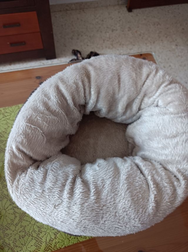 Mochila y bandolera para mascota Las dos