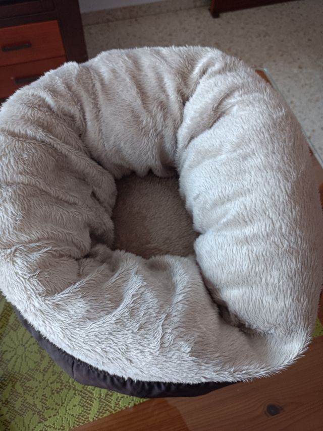 Mochila y bandolera para mascota Las dos