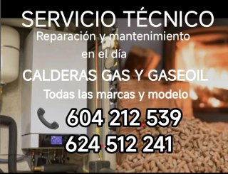 SERVICIO TECNICO CALDERAS GAS GASOIL EN EL DÍA