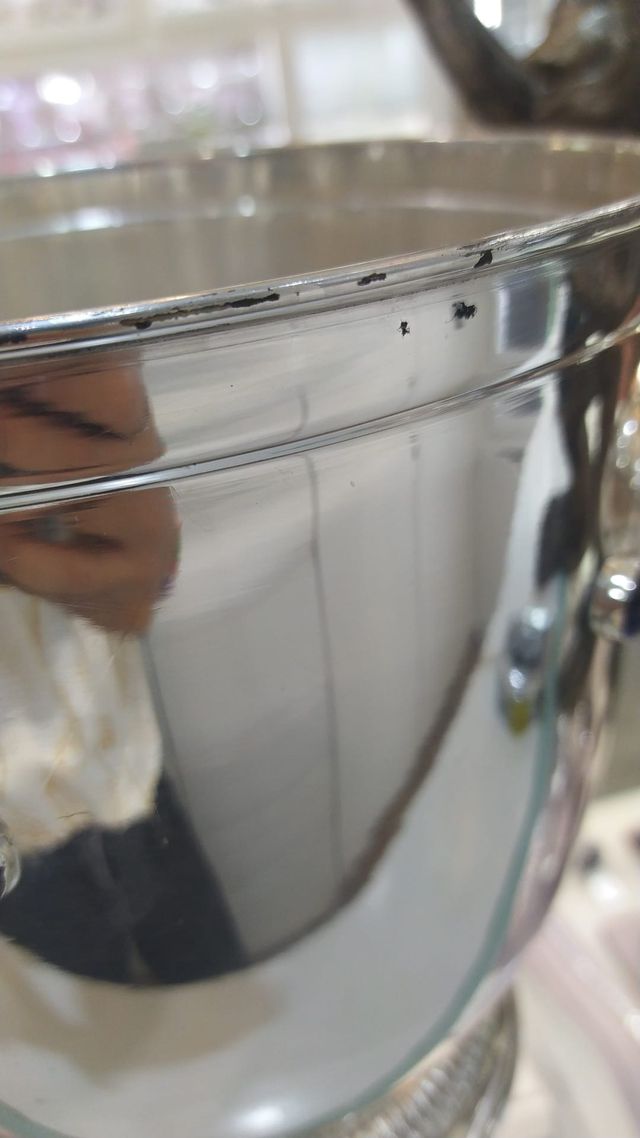 Champanera plateada 22x30cm