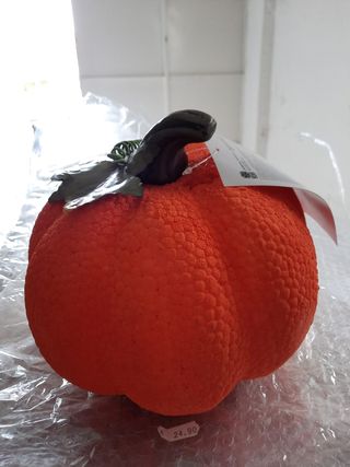 zucha decorata