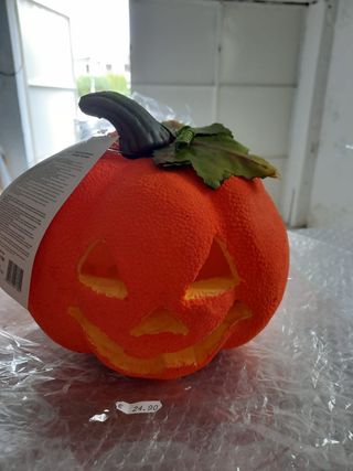 zucha decorata