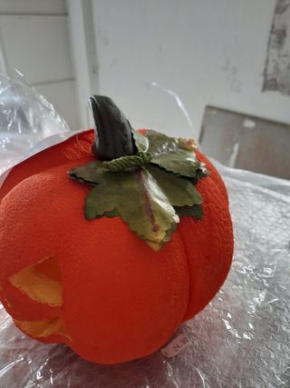 zucha decorata