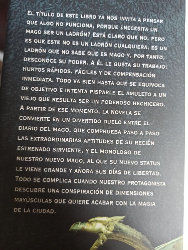 Libro El ladrón mago