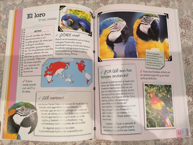 Libro infantil Animales Domésticos y del bosque