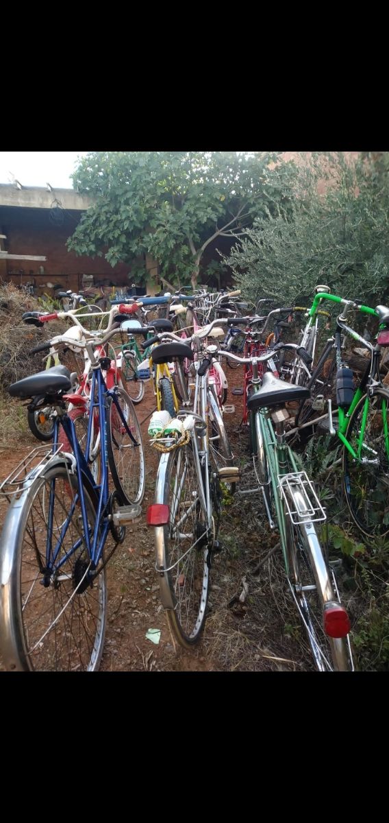 bicicletas varios modelos y marcas