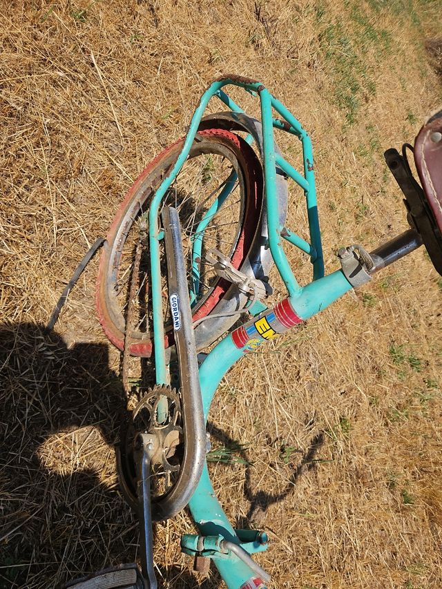 bicicleta giordani 20