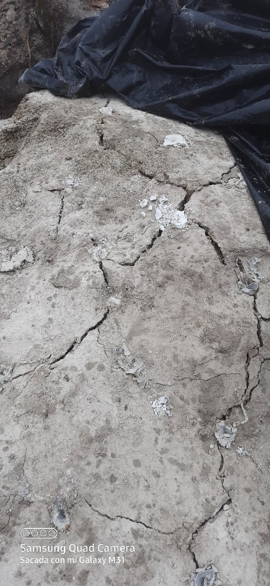 SE REALIZA QUITAR PIEDRA DE LA PISCINA