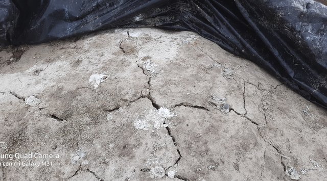 SE REALIZA QUITAR PIEDRA DE LA PISCINA
