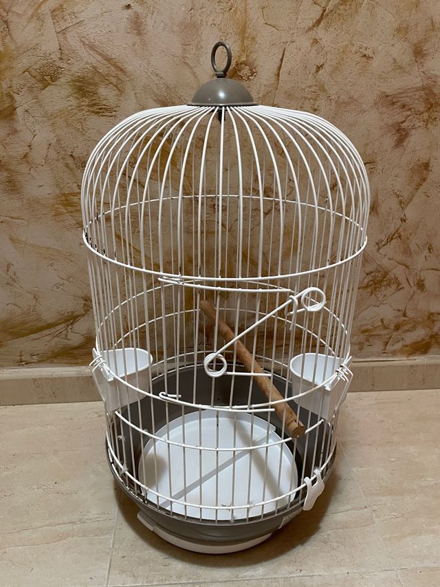 Jaula para ave