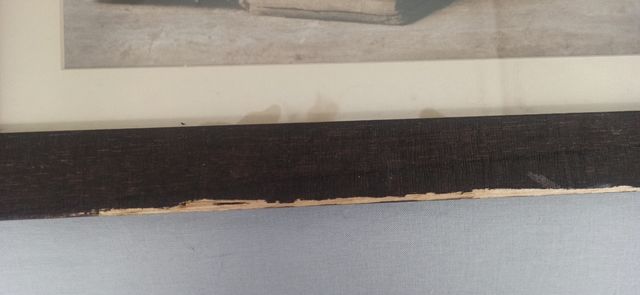 Preciosa pareja de láminas enmarcadas