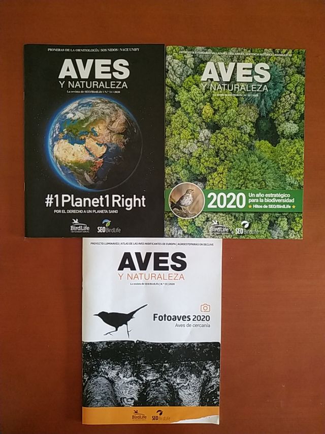 Revistas de Seo/Berd Life del año 2020