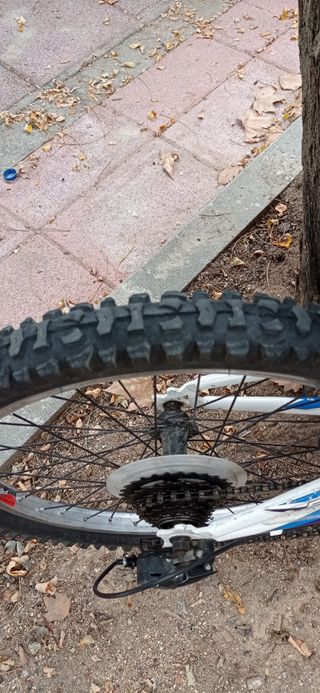 Bicicleta 20 pulgadas