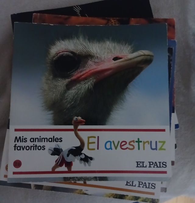 Mis animales favoritos 