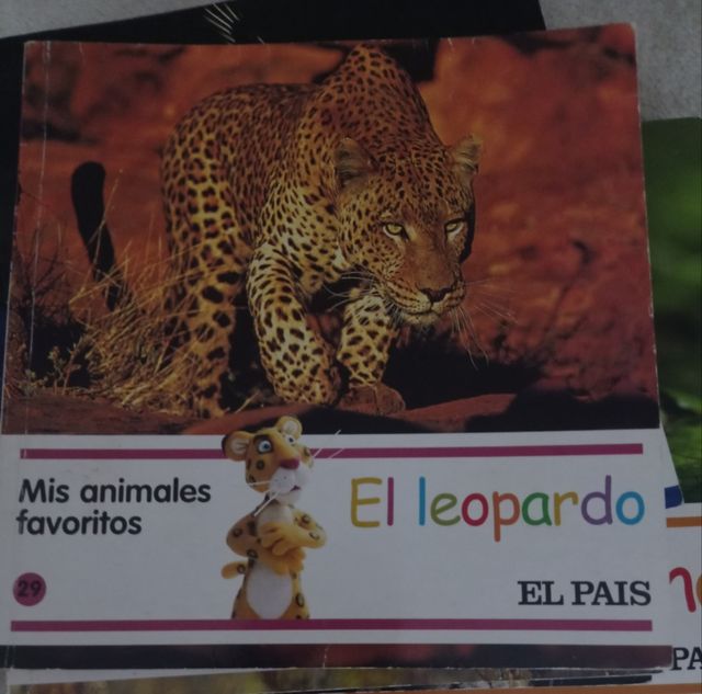 Mis animales favoritos 