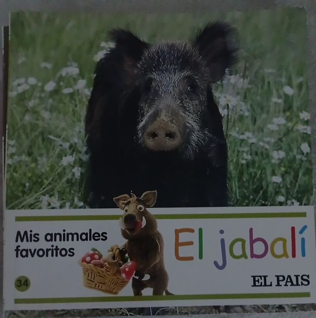 Mis animales favoritos 
