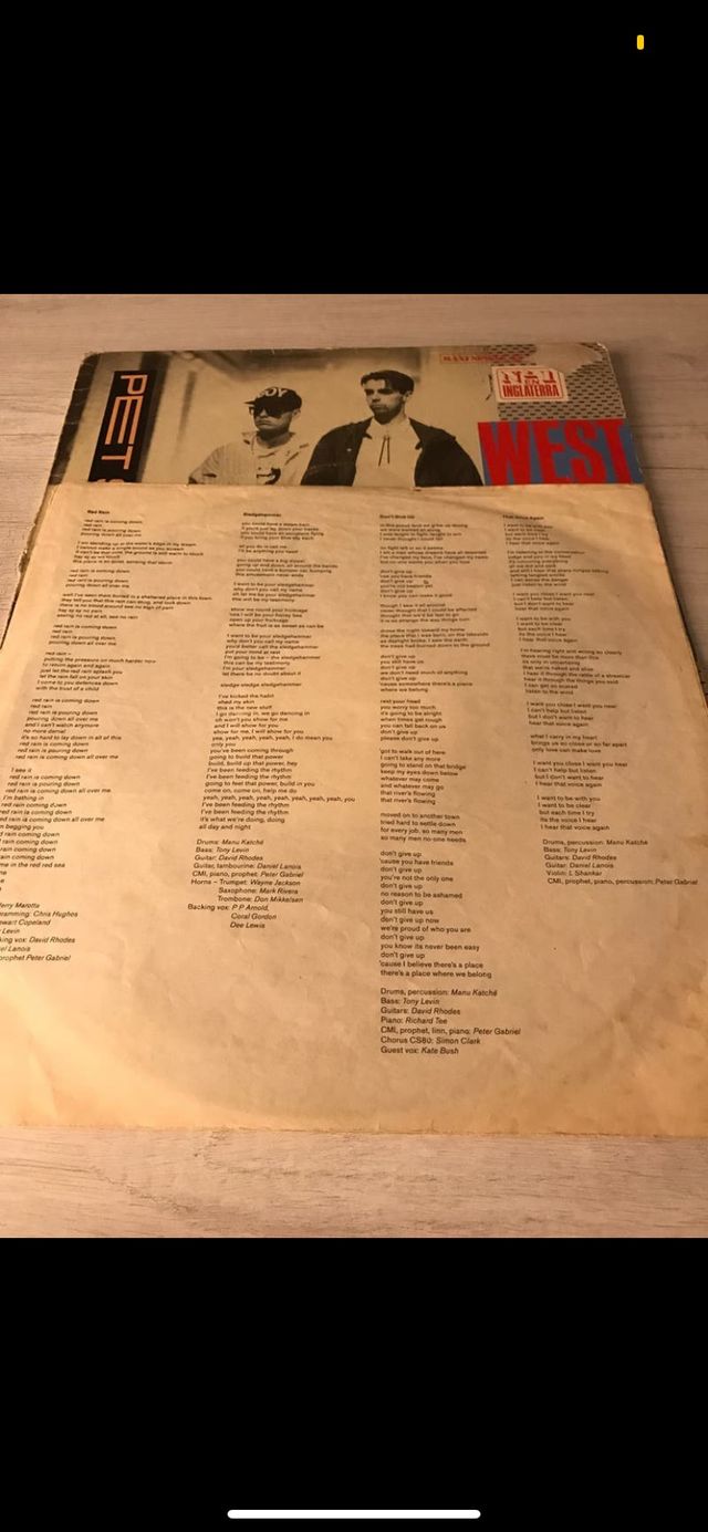 LOTE DE 2 VINILOS          PET SHOP BOYS!!