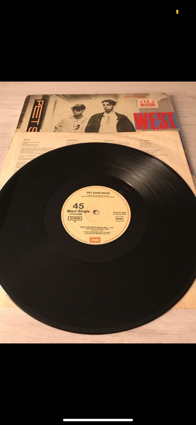 LOTE DE 2 VINILOS          PET SHOP BOYS!!