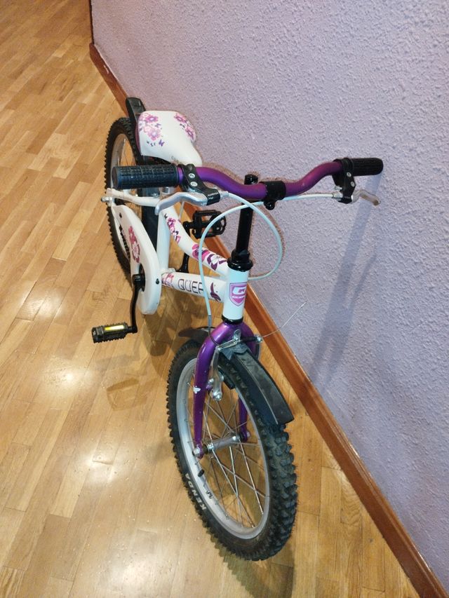 Bici 18"QUEER niños.