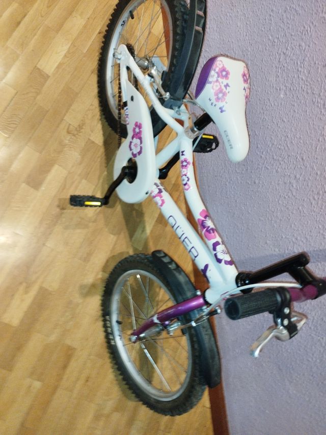 Bici 18"QUEER niños.