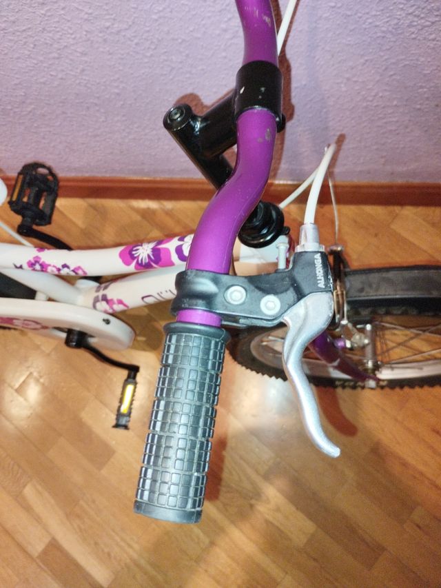 Bici 18"QUEER niños.