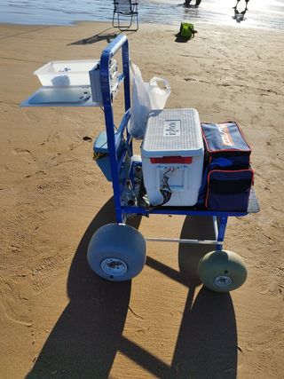 carro de pesca eléctrico 