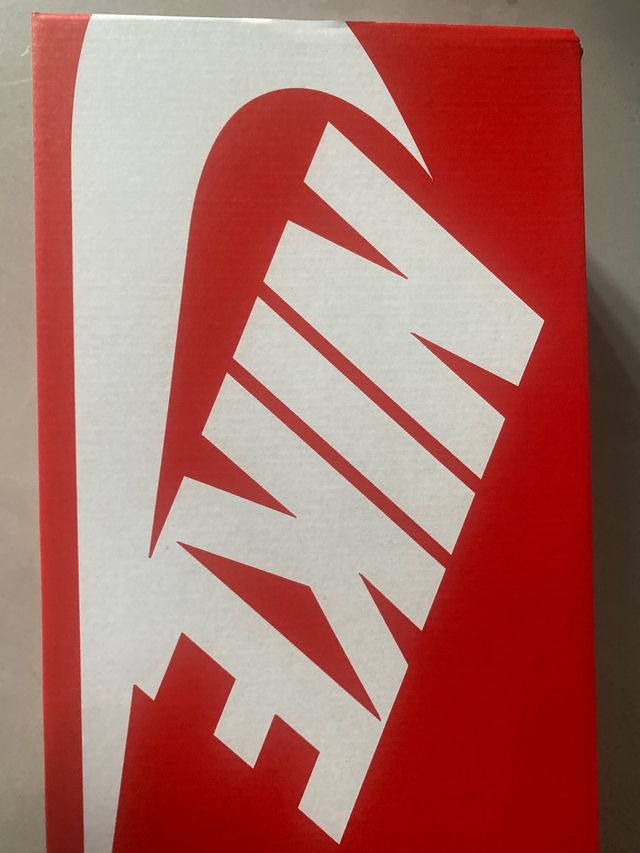 Vendo Nike Dunk Low Barley Paisley