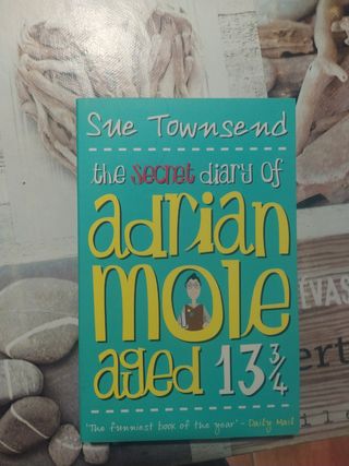The secret diary of adrian mole