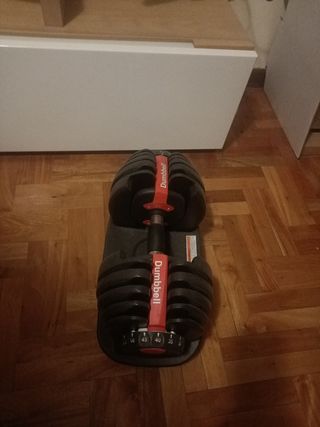 Pesas regulables estropeadas