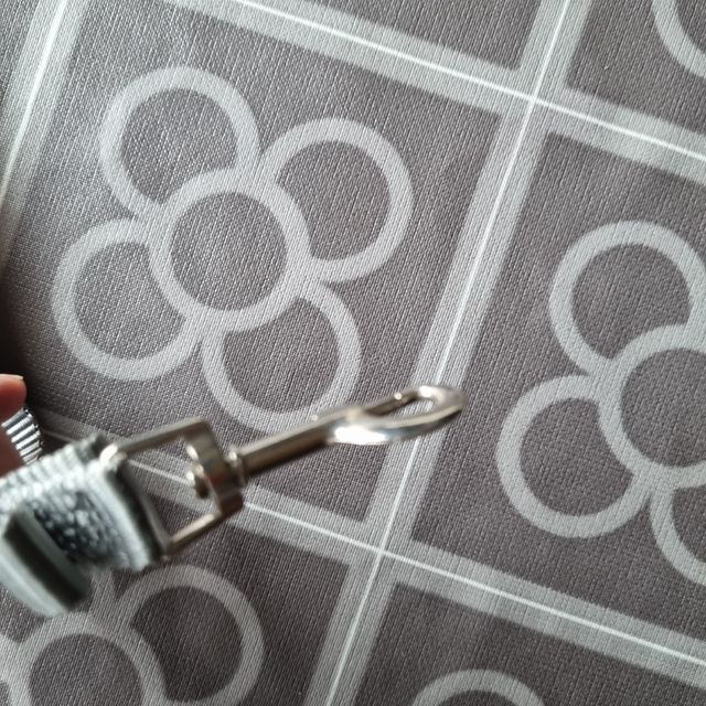 Correa para perro o gato