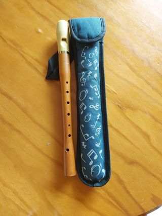 Flauta Hohner y funda