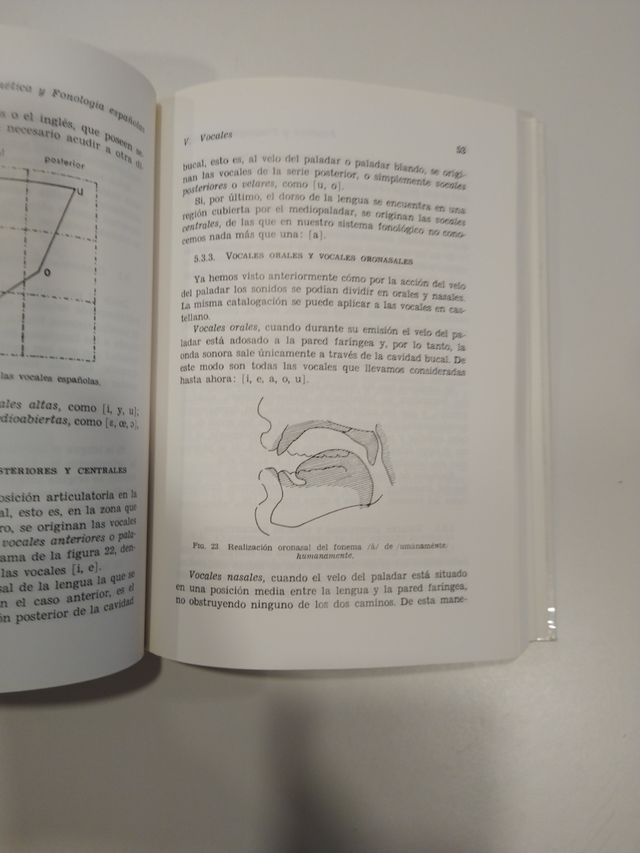 CURSO DE FONÉTICA Y FONOLOGÍA ESPAÑOLAS. CSIC