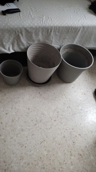Lote de maceta y macetones