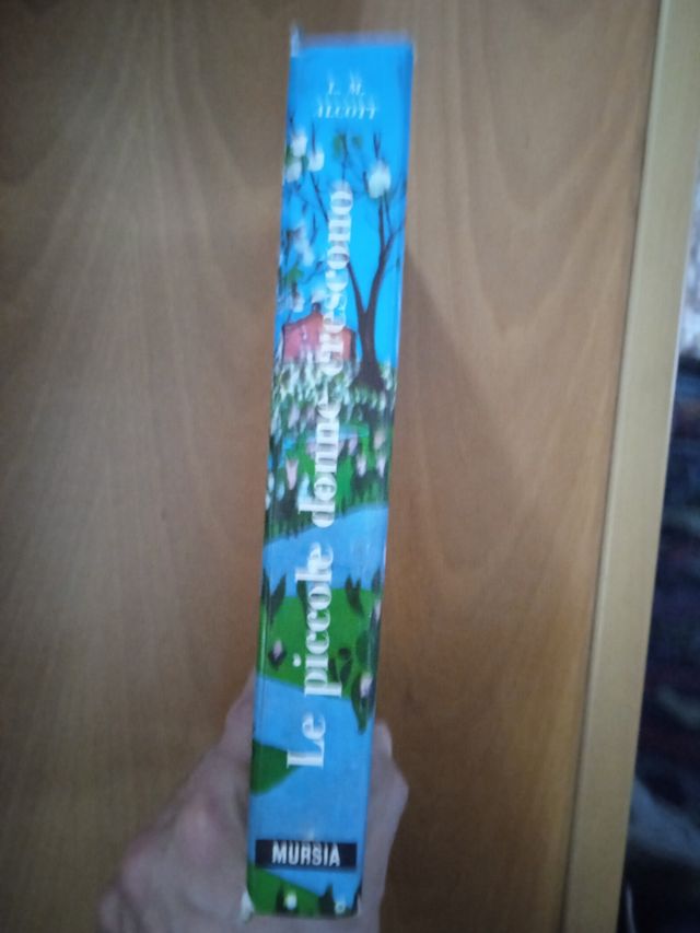 Piccole donne crescono di Louisa May Alcott