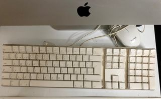 IMAC 24,